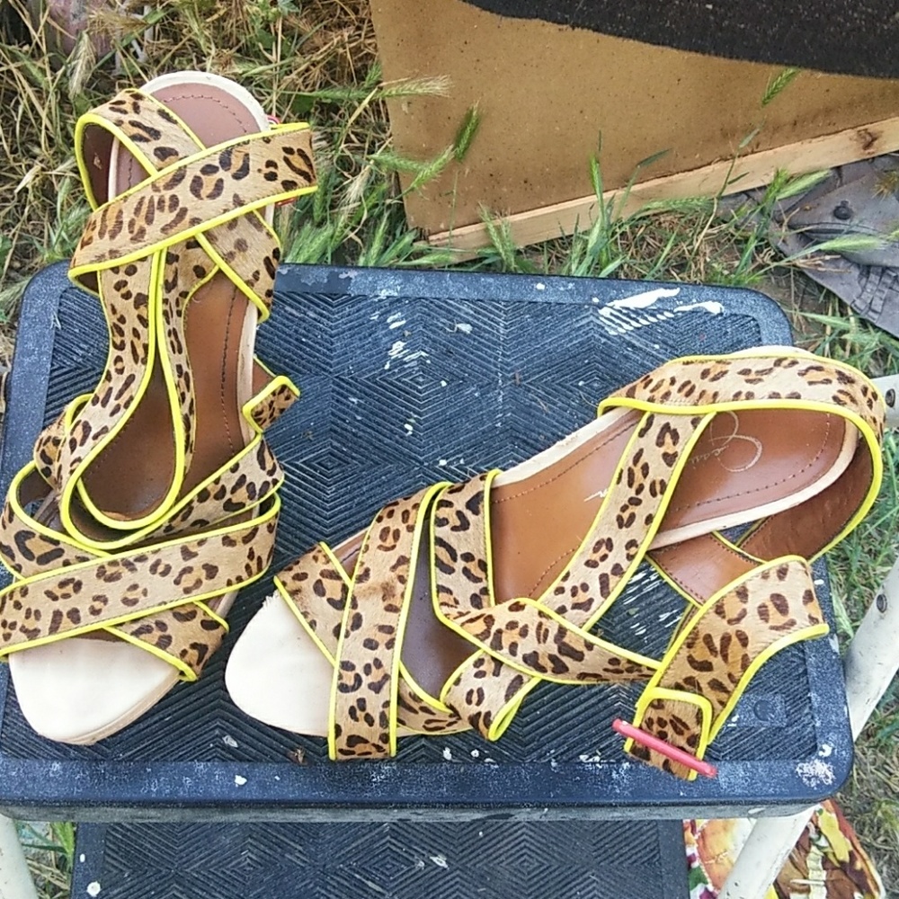 Shoe's